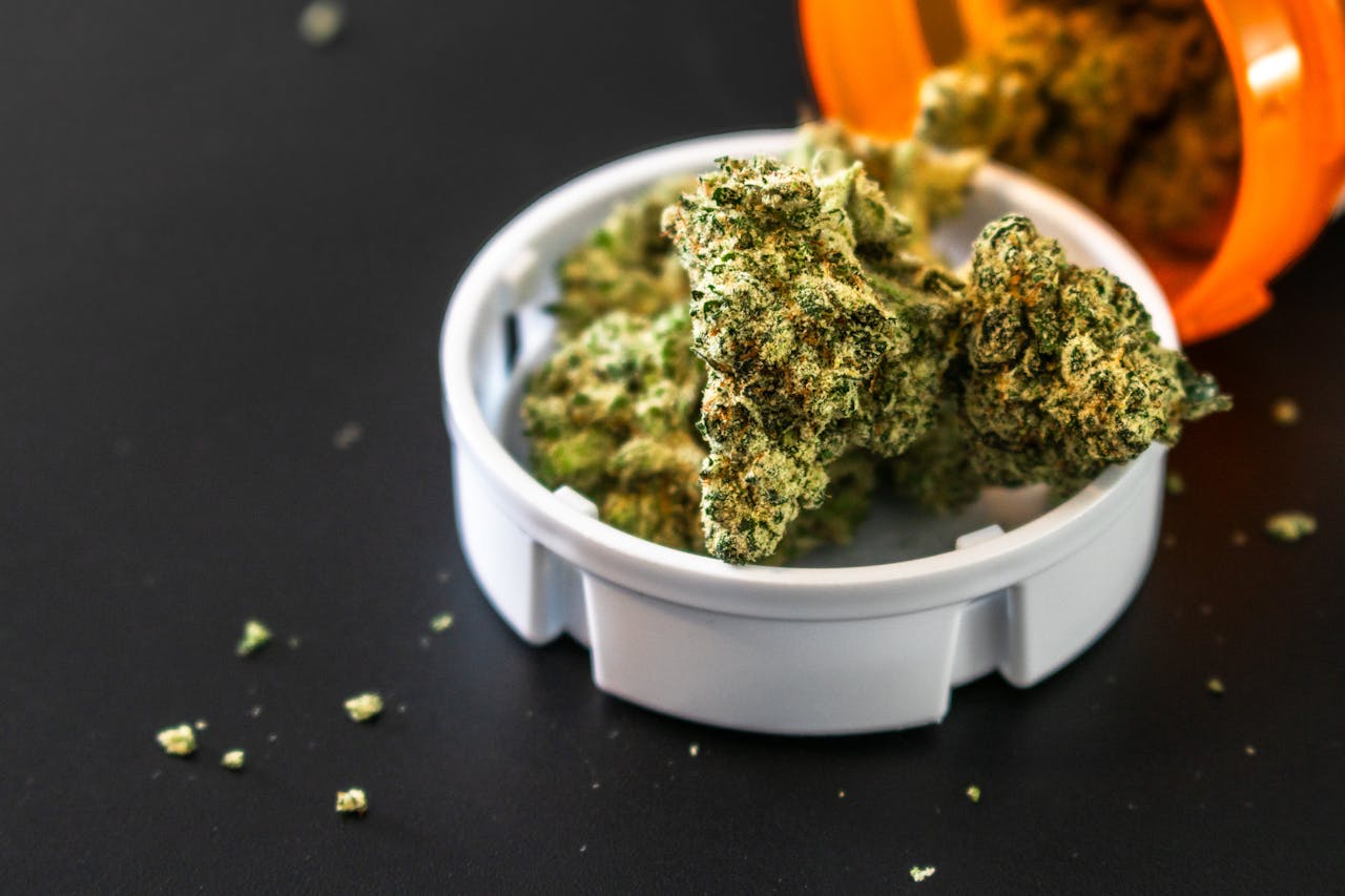 SEO Dispensary in 2026: The Working Playbook for Cannabis Retailers Done Looking for Tactics